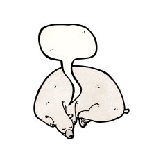 Sleeping Polar Bear N3