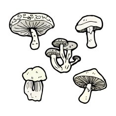 Cartoon Mushrooms N17