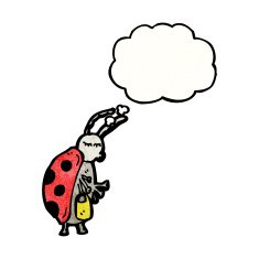 Cartoon Ladybug N119