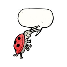 Cartoon Ladybug N120