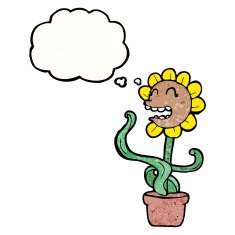 cartoon sunflower with thought bubble N8