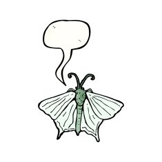 butterfly with speech bubble cartoon N4