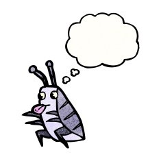 cartoon bug N101