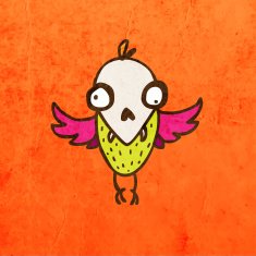 bird skull