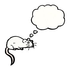 cartoon white mouse with thought bubble N23