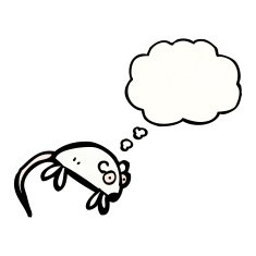 cartoon white mouse with thought bubble N24