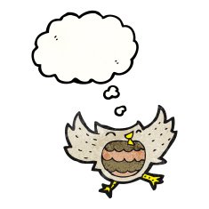 Cartoon Little Owl N29