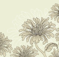Floral background N41