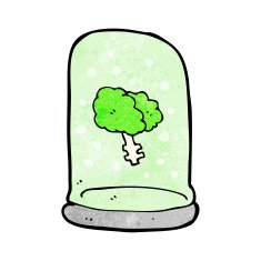 cartoon brain in jar N12