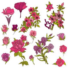 Detailed Hand Drawn Flowers