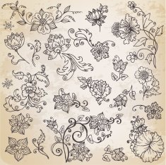 Beautiful floral elements retro flowers