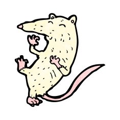 cartoon white lab rat N13