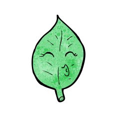 Cartoon Leaf N125