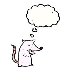 white mouse cartoon N5