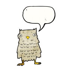 Cartoon Owl N221
