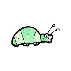 caroton bug