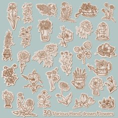 Hand Drawn Flower Set