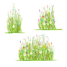 Green meadow for your design