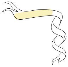 ribbon N3
