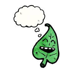 cartoon laughing leaf N4