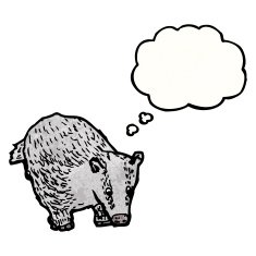cartoon badger with thought bubble N2