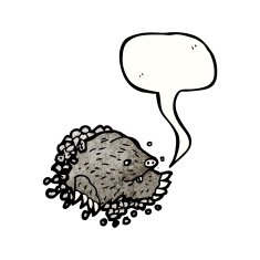 mole illustration N4