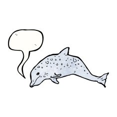 dolphin illustration N6