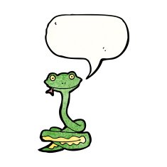 Cartoon Snake N300