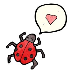 Cartoon Ladybug N131