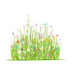 Green meadow for your design N2