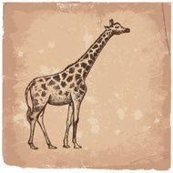 picture Giraffe Art N2