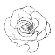 Vector sketch of flower N2