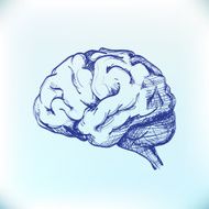 Human Brain N9