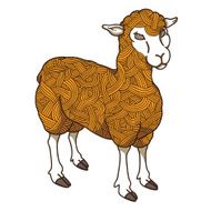 golden sheep