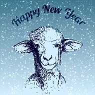 Sheep illustration with snowflake