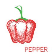 Hand Drawn Pepper Sketch Vector