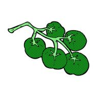 green tomatoes on vine illustration N9