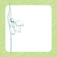 Snowdrop