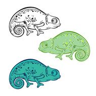 Set of chameleon isolated on white background N4