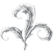 Pencil sketch flourish