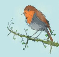 Bird On Branch N3