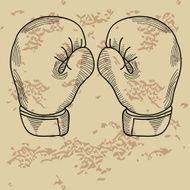 Boxing Gloves N18
