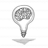 Sketch Bulb cerebrum creative