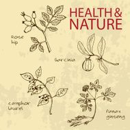 Handdrawn Illustration - Health and Nature Set N20