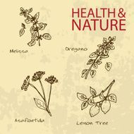 Handdrawn Illustration - Health and Nature Set N21