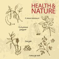 Handdrawn Illustration - Health and Nature Set N22