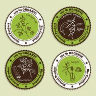 Set of Natural Organic Product badges N4