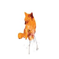 Watercolor Fox on a white background with color splash