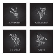 Handdrawn Illustration - Health and Nature Set N23
