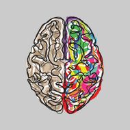 Creative brain with color strokes vector